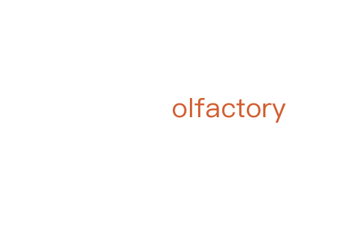 olfactory