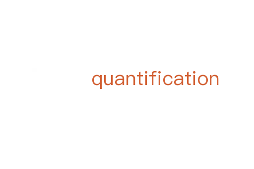 quantification