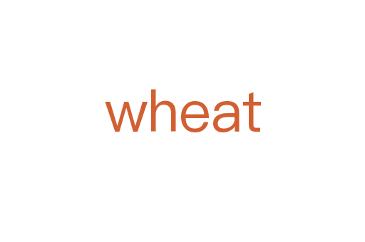wheat