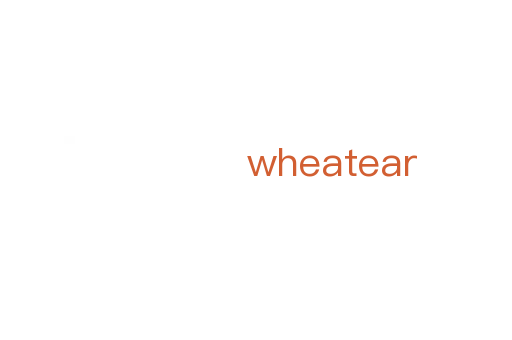 wheatear