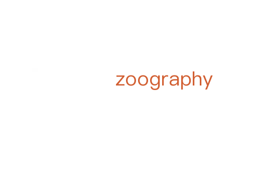 zoography