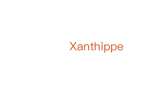 Xanthippe