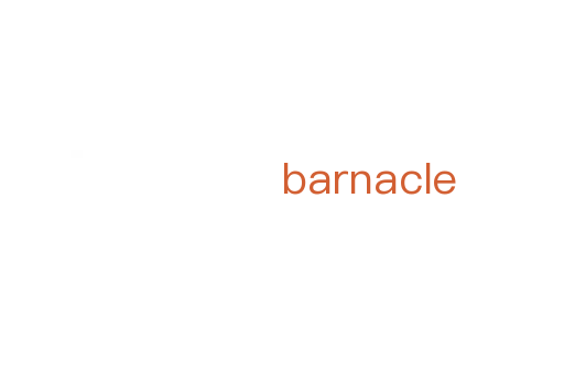 barnacle