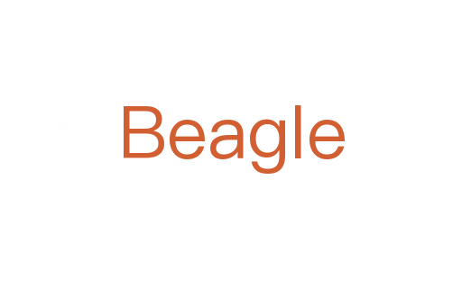 Beagle