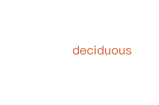 deciduous